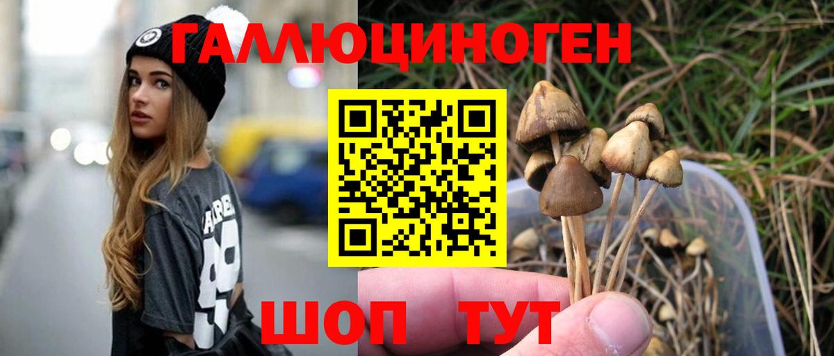 Псилоцибиновые грибы мицелий Майкоп
